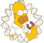 Homer logo